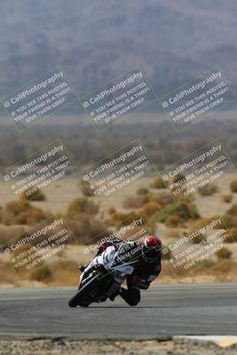 media/Apr-10-2022-SoCal Trackdays (Sun) [[f104b12566]]/Turn 5 Tree of Life (1040am)/